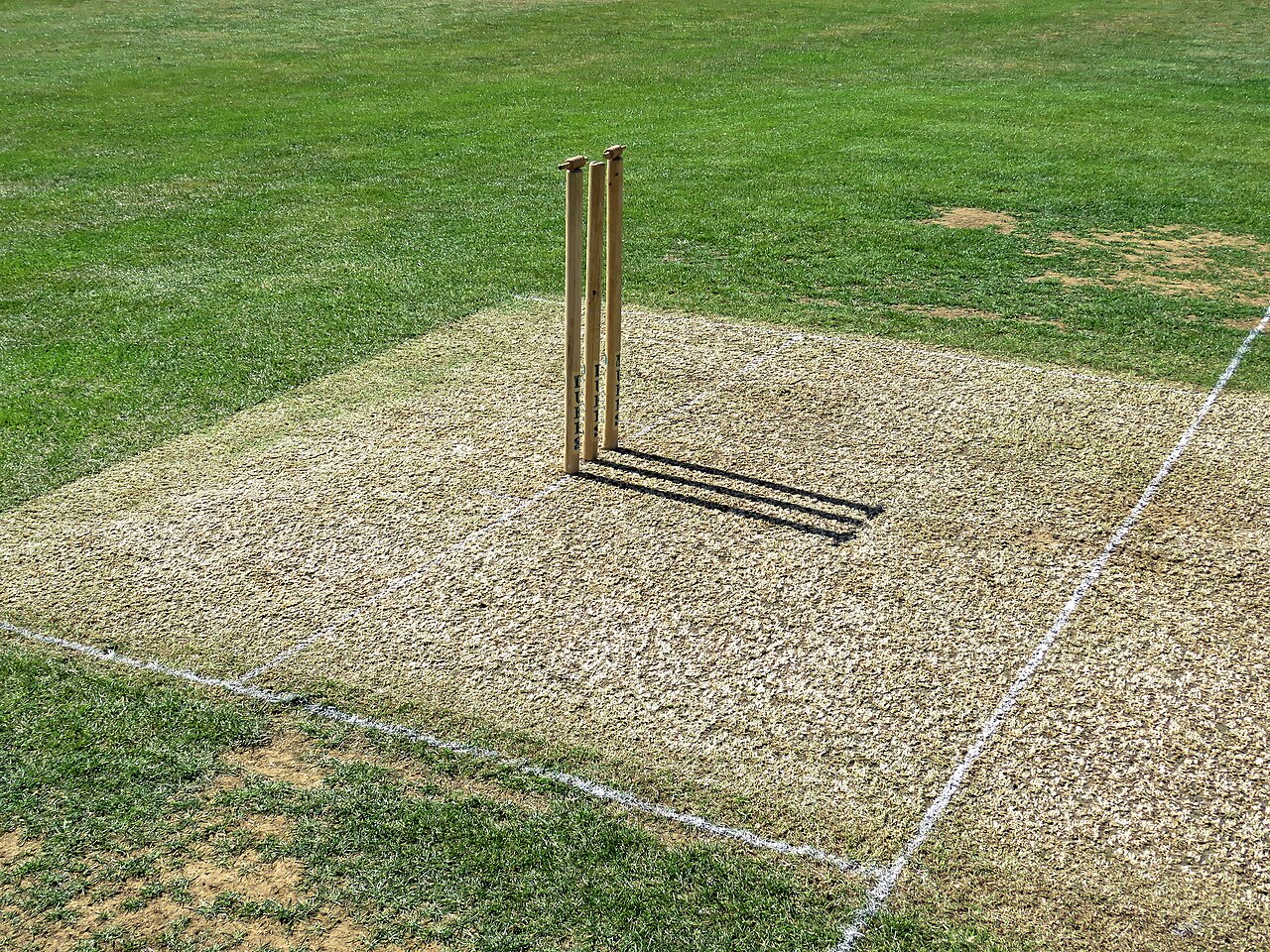 Several prepared pitch strips side by side across the middle of a large ground
